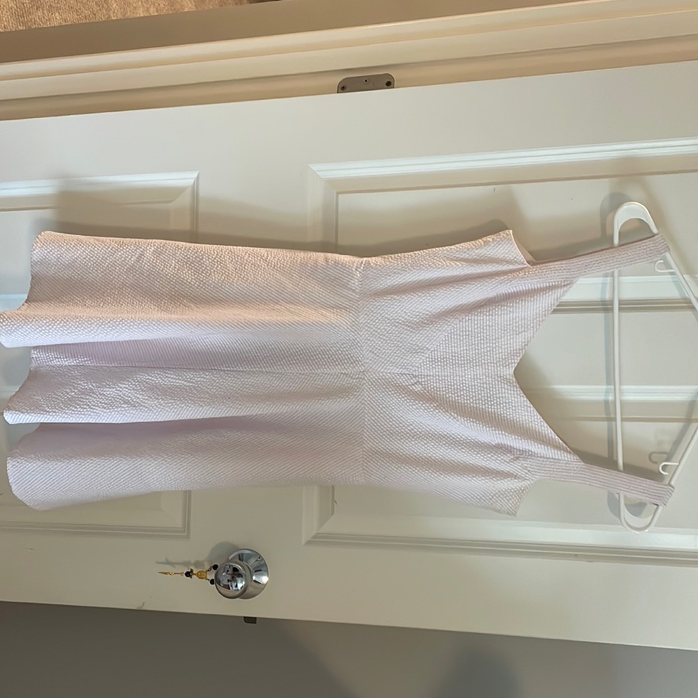Ann Taylor Dress